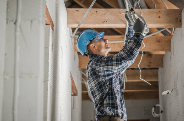 Best Local Electrician Companies  in Beecher, IL