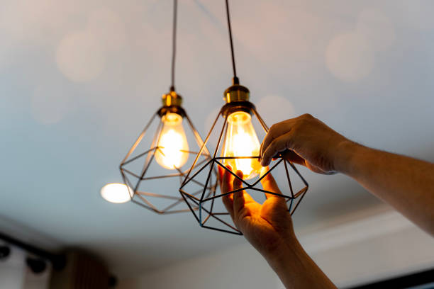 Best Affordable Electrician  in Beecher, IL