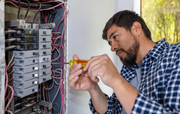 Best Ceiling Fan Installation Electrician  in Beecher, IL